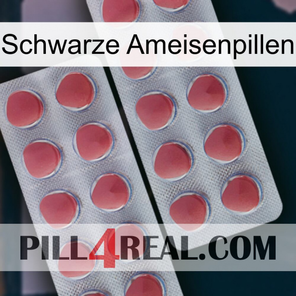 Black Ant Pills 19